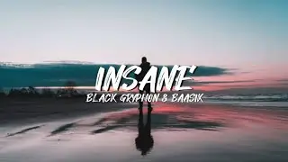 Black Grpyh0n & Baasik- Insane (Lyrics Video)