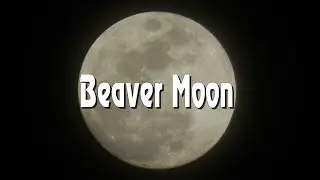 November Full Moon 2021 : Beaver Moon ( Frost Moon or Snow Moon )