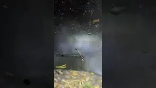 На вездеходе по "пьяным туманам"