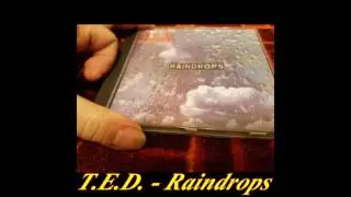 T.E.D. - Raindrops (Extended Remix)