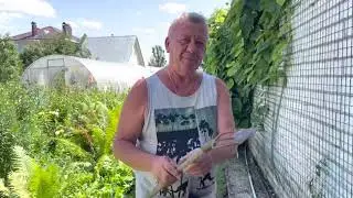Инструменты от «Азия», Новосибирск.