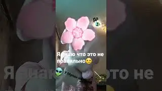 У Мулан нет прав