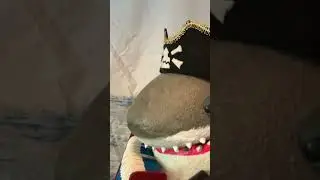 Here’s more Shark Pirate because why not?. #puppetry #puppet #dadjokes #pirates #sharks  #starwars