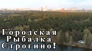 ВМР СТРОГИНО! Весенний Фидер