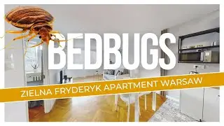 Bedbug Zielna Fryderyk Apartment Warsaw