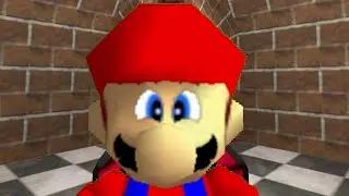 Stupid Video 64