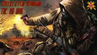 STALKER Тень Чернобыля (летний стрим) Пиздим украинцев!