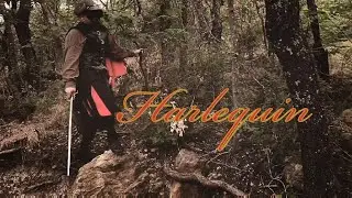 Harlequin: A Comedy Fight Scene #hema #cinematic #swordandbuckler #swashbuckler #comedy
