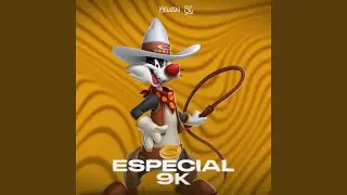 MEGA FUNK ESPECIAL 9K