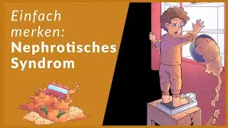 Nephrotisches Syndrom schnell lernen | Eselsbrücken für Nephrologie
