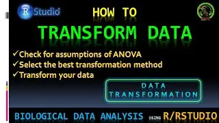 Data transformation in RStudio | Check ANOVA assumptions | Squareroot transformation (bestNormalize)