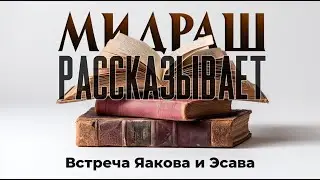 Встреча Яакова и Эсава. Мидраш рассказывает.(Ваишлах часть 5)