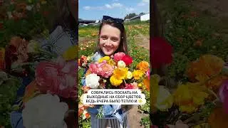 Коротко о погоде в Израиле 