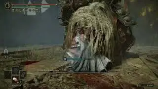 Elden Ring: Shadow of the Erdtree - Endure spamming the Dancing Lion to death