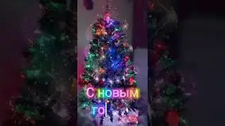С новым годом! Happy New Year!