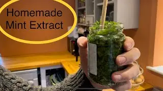 Making herb extracts - mint tincture