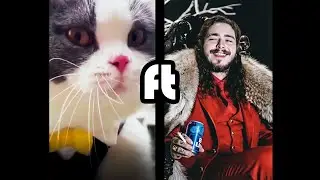Big Billy X Post Malone ( Rockstar Cat Remix)
