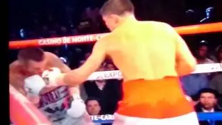 GENNADY GOLOVKIN VS MURRAY
