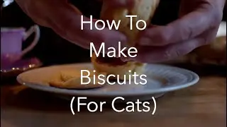 How To Make Biscuits (For Cats)