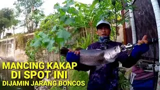 Mancing Kakap Putih-Barramundi  Di Tambak Tua |MancingSemarang