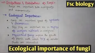 Ecological importance of fungi | Class 11 Biology