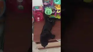 Ну, чего вы там спрятали?