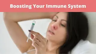 How to boost your immune system