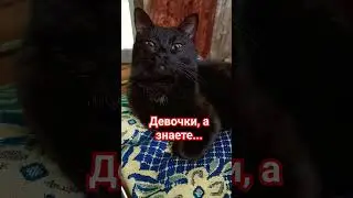 девочки, а знаете...🤣 