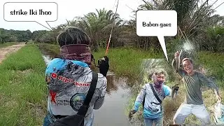 MANTAP!! ketemu spot , ikan gabus yang masih cupu banget...
