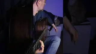 ¿Sabéis qué canción es? Os leo 