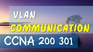 same vlan communication in two different switches