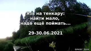 Язь на тенкару в конце июня