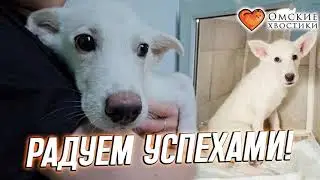 Радуем успехами! | Снежок