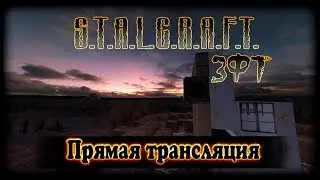 Стрим по S.T.A.L.C.R.A.F.T. - ЗФТ. Поход на Янтарь.