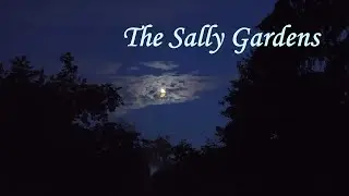 Yamaha MODX. The Sally Gardens, англ.нар. песня.