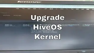 How to upgrade HiveOS kernel on existing crypto rig