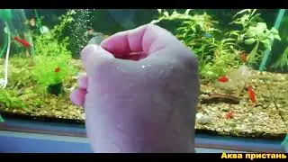 Не держится присоска в аквариуме
