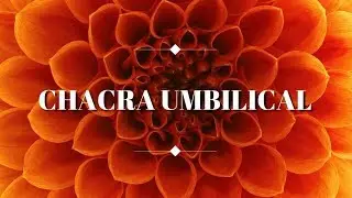 [Linguagem da Luz] Chacra Umbilical - Limpeza, Cura, Ativação