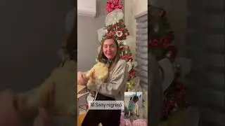 Ana's Surprise Gift After Her Dog Crossed the Rainbow Bridge | MyPetsies©
