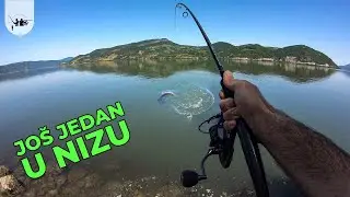 JOŠ JEDAN U NIZU - Varaličarenje Soma u Đerdapu