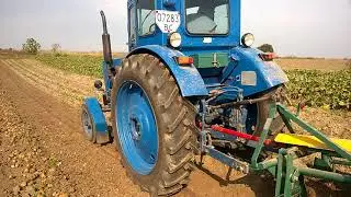 Т-40 Копання картоплі 2015рік часть2