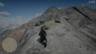 How to sedate legendary animals easily in Red Dead Online(Legendary Golden Spirit Bear)