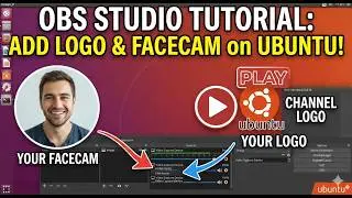 How to Add Your Logo & Webcam to OBS Studio on Ubuntu | Background Removal Tutorial