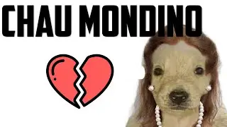 Echaron a Diana Mondino