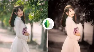 Snapseed Orange Tone Editing Tutorial | Snapseed Orange Color Photo Editing | New Background Trick