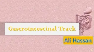 Meet the gastrointestinal tract|| The Gastrointestinal Tract|| By Ali Hassan
