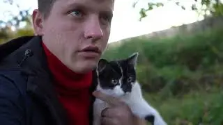 подобрал котенка с улицы, спас жизнь котенку. какая реакция?