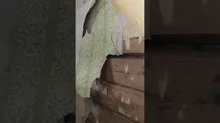 Какая красота под обоями! 