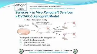 Altogen Labs OVCAR-3 Ovarian Cancer Xenograft