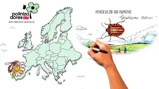 PolinizadoresOn Video in Portuguese